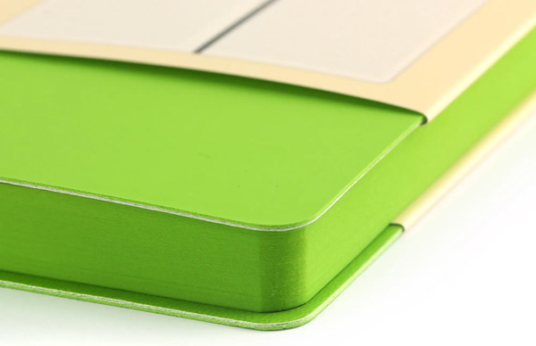 Изображение товара Ежедневник Listoff Soft Touch / ЕКСТ51913601 (салатовый)