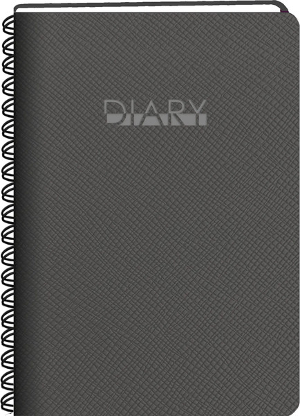 Изображение товара Ежедневник Listoff Today / ЕКТС52319203 (серый)