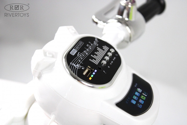 Изображение товара Детский мотоцикл RiverToys Z444ZZ (зеленый)