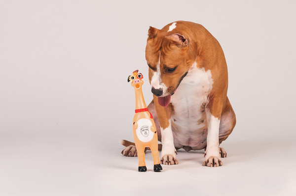 Изображение товара Игрушка для собак Happy Earm Свинка 80800004