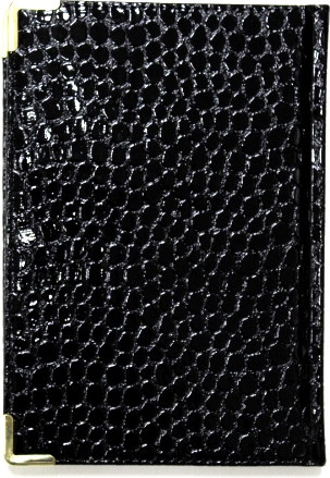 Изображение товара Ежедневник Listoff Lizard / ЕКП52515201 (черный)