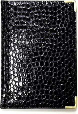 Изображение товара Ежедневник Listoff Lizard / ЕКП52515201 (черный)