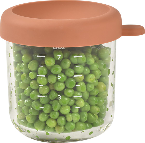 Изображение товара Контейнер для детского питания Beaba Terracota Portion Verre 914013 (250мл)