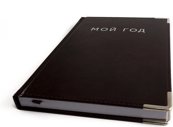 Изображение товара Ежедневник Listoff Silver / ЕКСФ52412804 (коричневый)