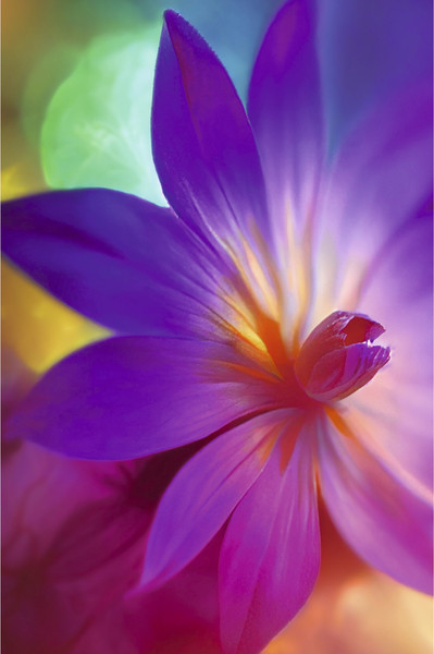 Изображение товара Записная книжка Listoff Вдохновение! / КЗ5804058