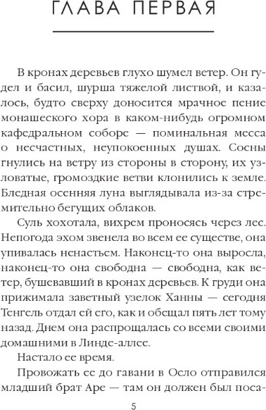 Изображение товара Книга Дом историй Преисподняя. Т.3 мягкая обложка (Сандему Маргит)