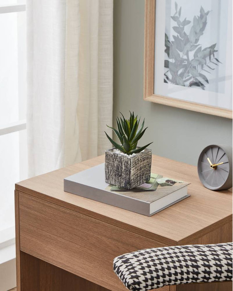 Изображение товара Искусственное растение Eglo Chitose 428008 (пластик, серый)