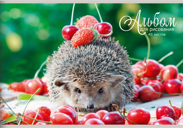 Изображение товара Альбом для рисования Listoff Блестящие и милые / АБ402565