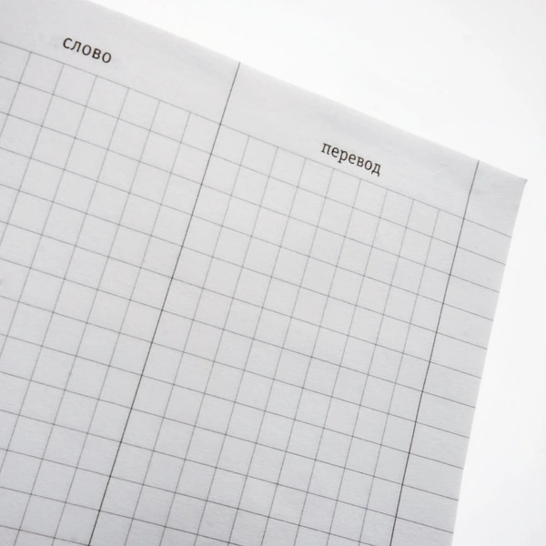 Изображение товара Тетрадь предметная Listoff Для записи иностранных слов Привет! / ТИС64891
