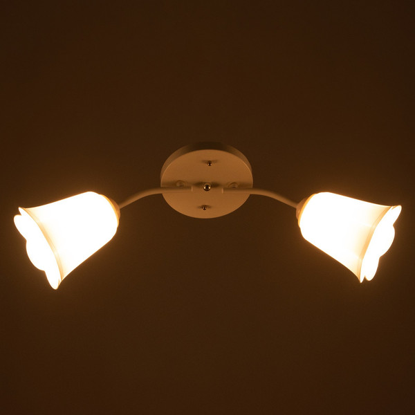 Изображение товара Потолочный светильник BayerLux Онлайн Цветок 9095859 (белый)