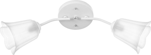 Изображение товара Потолочный светильник BayerLux Онлайн Цветок 9095860 (белый/прозрачный)