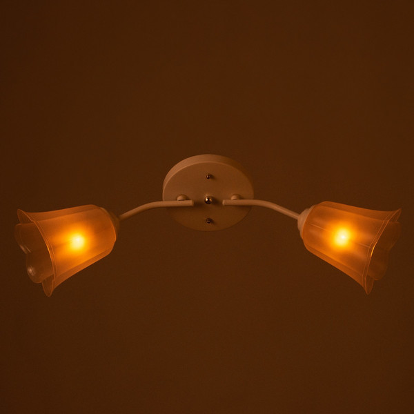 Изображение товара Потолочный светильник BayerLux Онлайн Цветок 9095860 (белый/прозрачный)