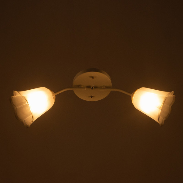 Изображение товара Потолочный светильник BayerLux Онлайн Цветок 9095861 (белый/черный)