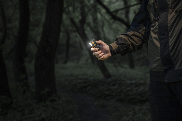 Изображение товара Фонарь Armytek Elf C1 / F05003C (белый)