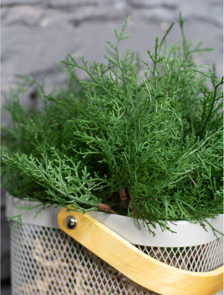 Изображение товара Искусственные ветки GrandSiti Туя 55657-5 / L25CM (5шт)
