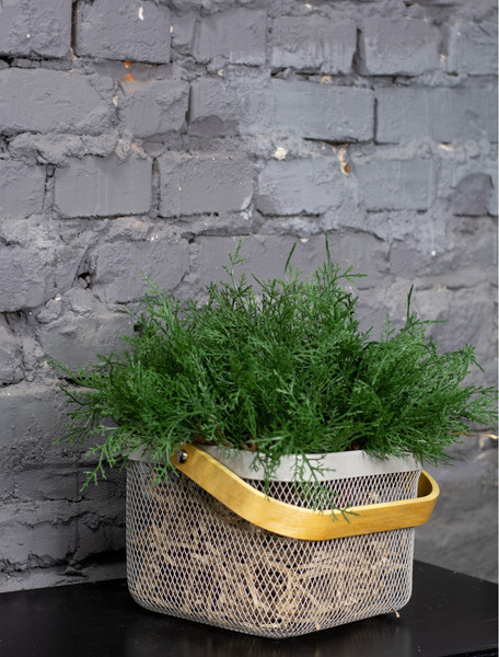 Изображение товара Искусственные ветки GrandSiti Туя 55657-5 / L25CM (5шт)