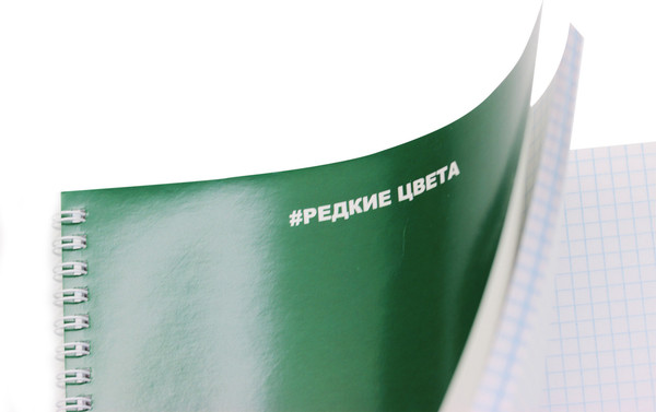 Изображение товара Тетрадь Listoff Pine green / ТС4604931