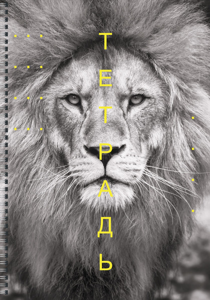 Изображение товара Тетрадь Listoff Лев / ТС4605031