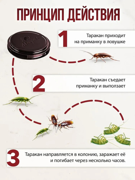 Изображение товара Набор ловушек для насекомых Maguse Force от тараканов и муравьев (6шт)