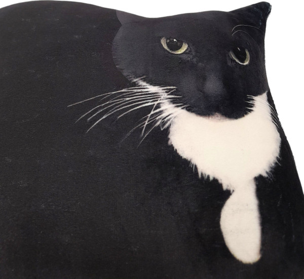 Изображение товара Подушка декоративная Malvina Максвелл Кот Мем / 9.438.1