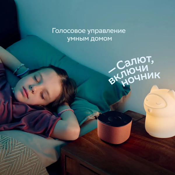 Изображение товара Умная колонка Sber Boom Home SBDV-00171G (салют серый)