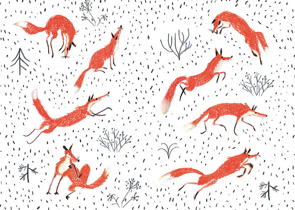 Изображение товара Книга Издательство Самокат Хвост Авроры (Лахтинен Александра)