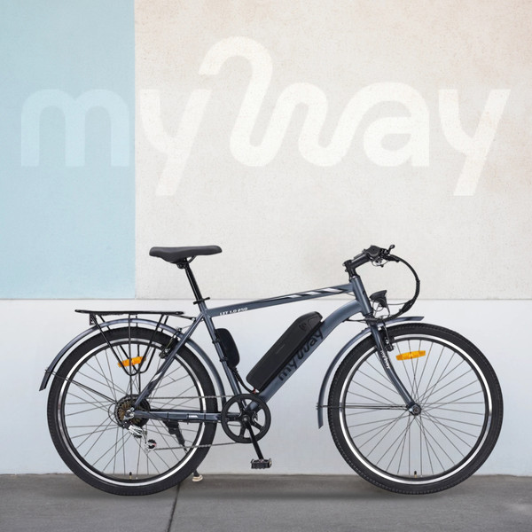 Изображение товара Электровелосипед MyWay Let 1.0 250 26 (19, графитовый)