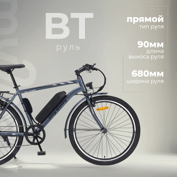 Изображение товара Электровелосипед MyWay Let 1.0 250 26 (19, графитовый)