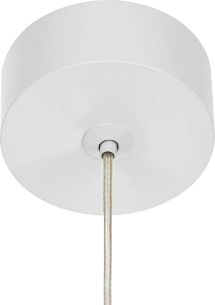 Изображение товара Потолочный светильник Citilux Bruno CL565010