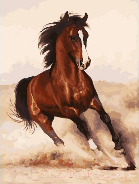 Изображение товара Картина по номерам БЕЛОСНЕЖКА Галоп / 107-AS