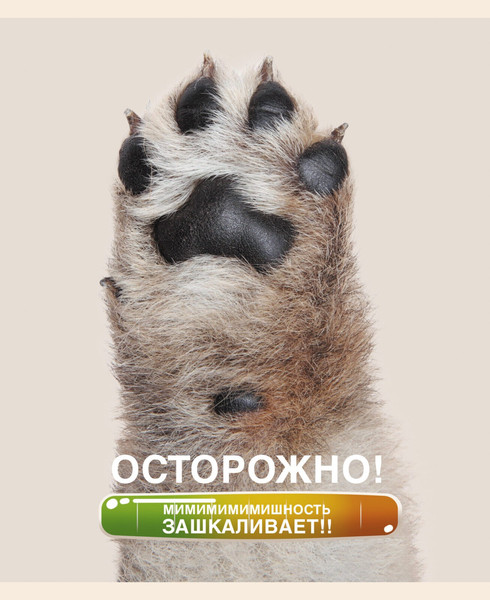 Изображение товара Тетрадь Listoff Осторожно, щеночки / ТК488352