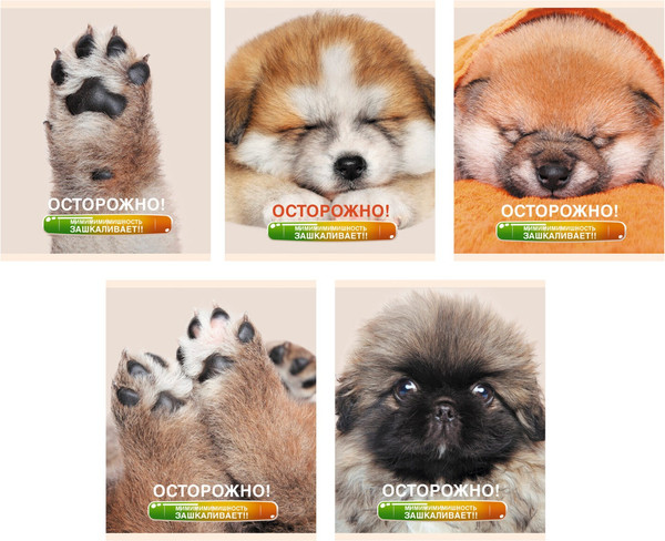 Изображение товара Тетрадь Listoff Осторожно, щеночки / ТК488352