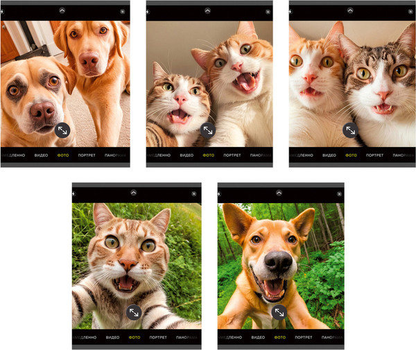 Изображение товара Тетрадь Listoff Зверо-селфи / ТК489128