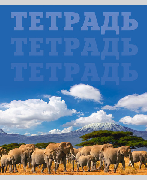 Изображение товара Тетрадь Listoff В мире животных / ТК808698