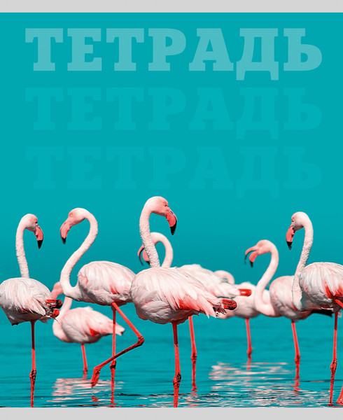 Изображение товара Тетрадь Listoff В мире животных / ТК808698