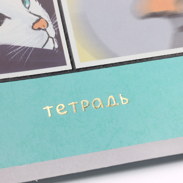 Изображение товара Тетрадь Listoff День кота / ТФЛ968774