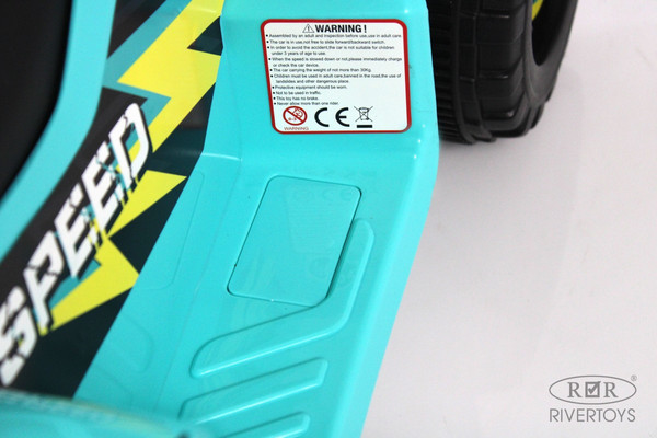 Изображение товара Детский квадроцикл RiverToys H001HH (синий)