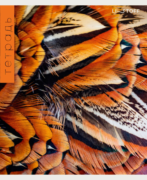 Изображение товара Тетрадь Listoff Перья / ТК968713