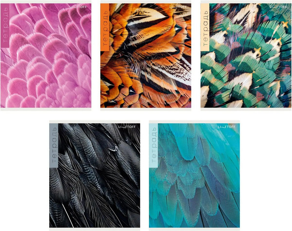 Изображение товара Тетрадь Listoff Перья / ТК968713