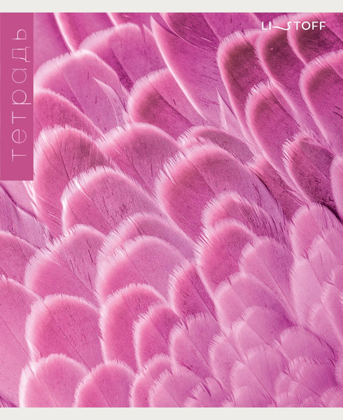 Изображение товара Тетрадь Listoff Перья / ТК968713