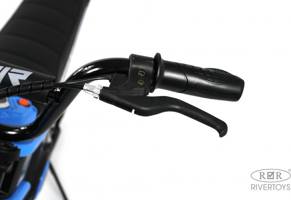 Изображение товара Детский мотоцикл RiverToys A005AA (синий)