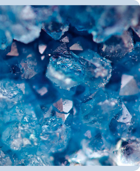 Изображение товара Тетрадь Listoff Красота в деталях / ТК968544