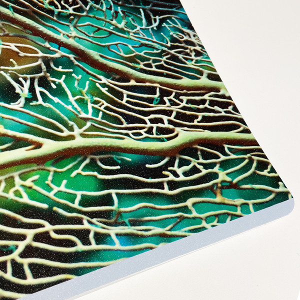 Изображение товара Тетрадь Listoff Красота в деталях / ТК968544