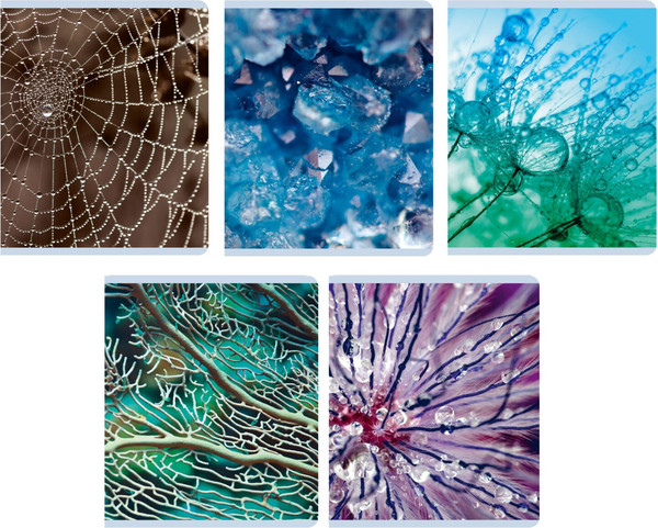 Изображение товара Тетрадь Listoff Красота в деталях / ТК968544