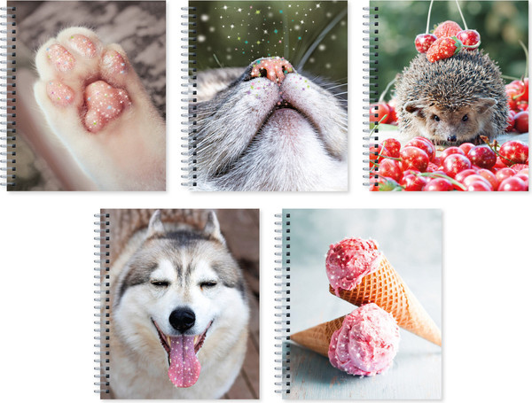 Изображение товара Тетрадь Listoff Блестящие и милые / ТСБ488818