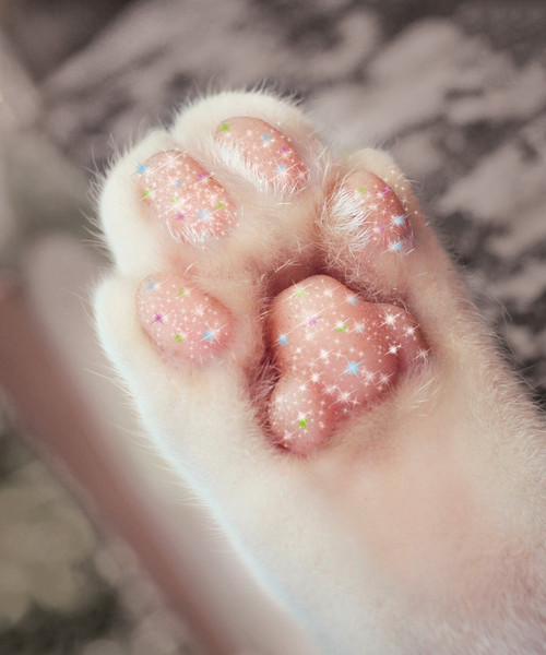 Изображение товара Тетрадь Listoff Блестящие и милые / ТСБ488818