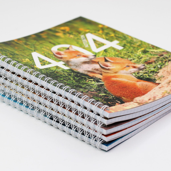 Изображение товара Тетрадь Listoff Not Found / ТСЛ488441