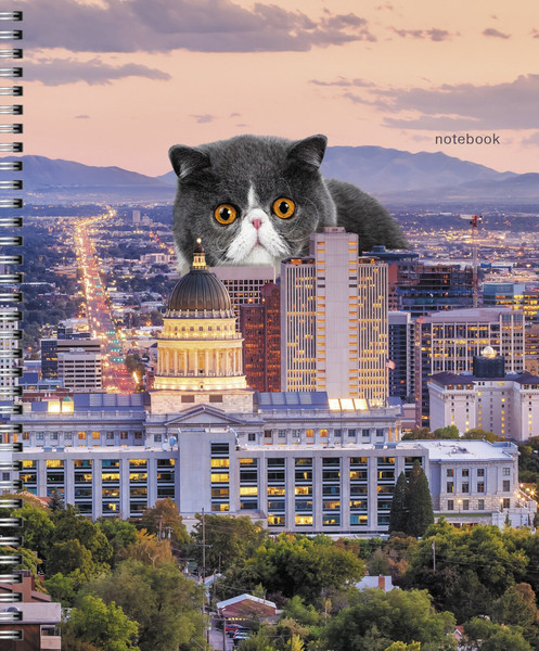 Изображение товара Тетрадь Listoff Коты в городе! / ТС608567