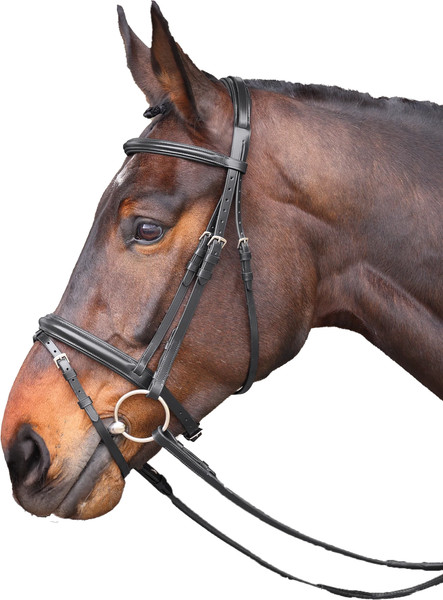 Изображение товара Оголовье для лошади Shires Velociti COB / 5003/BLACK/COB (черный)