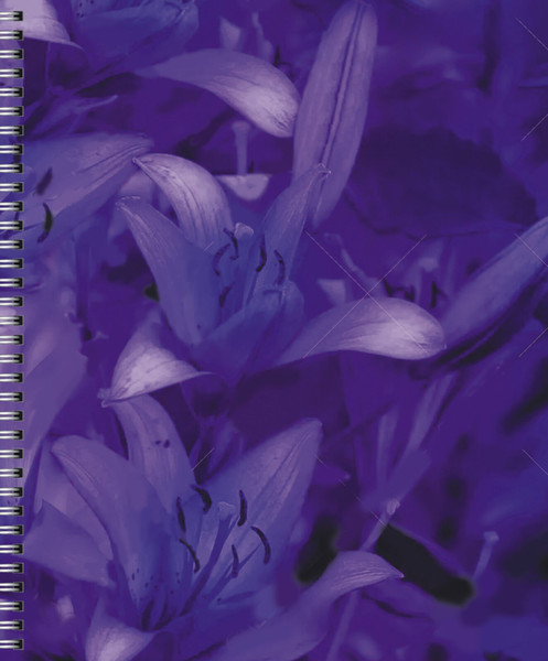 Изображение товара Тетрадь Listoff Violet Mix / ТС968551